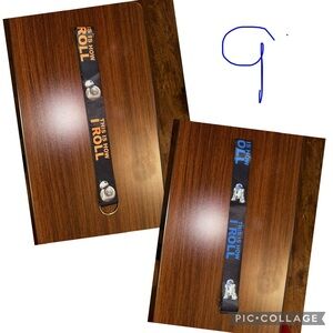 Bb8/R2D2 pin lanyard Disney